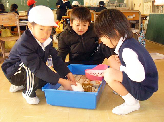 学校飼育動物支援活動